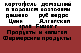 картофель  домашний  в хорошем состоянии, дешево: 50 руб/ведро › Цена ­ 50 - Алтайский край, Бийск г. Продукты и напитки » Фермерские продукты   . Алтайский край